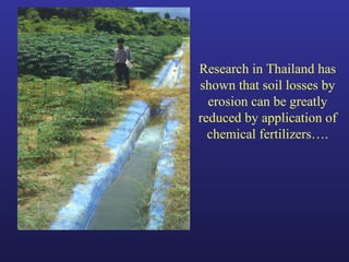 Helping Farmers Help Themselves: CIAT’s contribution to cassava production in Asia