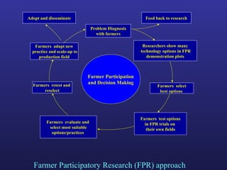 Helping Farmers Help Themselves: CIAT’s contribution to cassava production in Asia