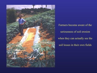 Helping Farmers Help Themselves: CIAT’s contribution to cassava production in Asia