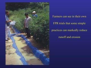 Helping Farmers Help Themselves: CIAT’s contribution to cassava production in Asia