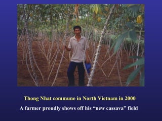 Helping Farmers Help Themselves: CIAT’s contribution to cassava production in Asia