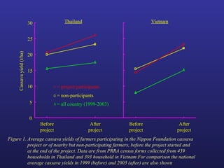 Helping Farmers Help Themselves: CIAT’s contribution to cassava production in Asia