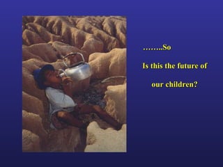 Helping Farmers Help Themselves: CIAT’s contribution to cassava production in Asia