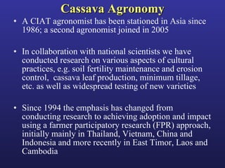 Helping Farmers Help Themselves: CIAT’s contribution to cassava production in Asia