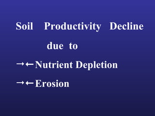 Helping Farmers Help Themselves: CIAT’s contribution to cassava production in Asia