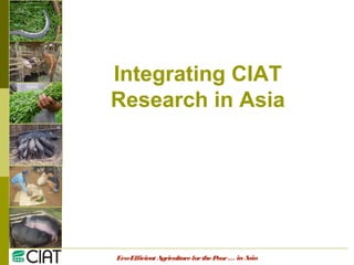 Eco-EfficientAgricultureforthePoor
Integrating CIAT
Research in Asia
… inAsia
 
