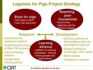 Integrating CIAT Research in Asia