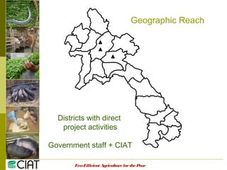 Integrating CIAT Research in Asia