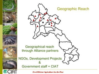 Integrating CIAT Research in Asia