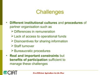 Integrating CIAT Research in Asia