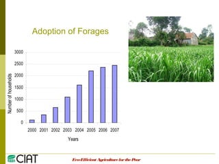 Integrating CIAT Research in Asia