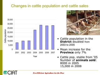 Integrating CIAT Research in Asia