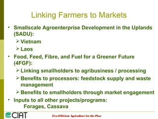 Integrating CIAT Research in Asia