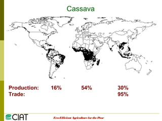 Integrating CIAT Research in Asia