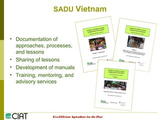 Integrating CIAT Research in Asia