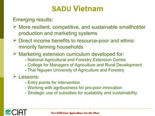 Integrating CIAT Research in Asia