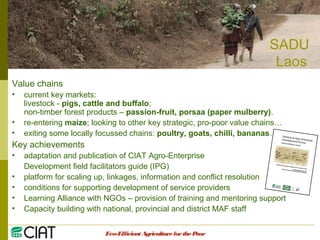 Integrating CIAT Research in Asia