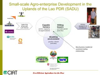 Integrating CIAT Research in Asia