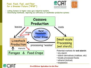Integrating CIAT Research in Asia