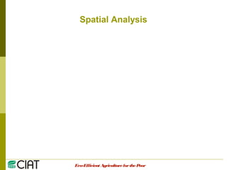 Integrating CIAT Research in Asia