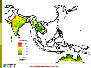 Integrating CIAT Research in Asia