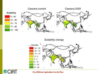 Integrating CIAT Research in Asia