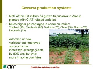 Integrating CIAT Research in Asia