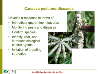 Integrating CIAT Research in Asia