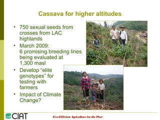 Integrating CIAT Research in Asia