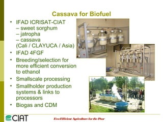 Integrating CIAT Research in Asia