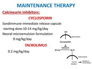 MAINTENANCE THERAPY
Calcineurin inhibitors:
CYCLOSPORIN
Sandimmune-immediate release capsule
starting dose:10-14 mg/kg/day
Neoral-microemulsion formulation
9 mg/kg/day
TACROLIMUS
0.2 mg/kg/day
 