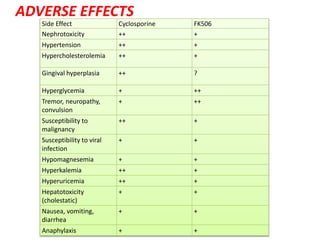 ADVERSE EFFECTS
Side Effect Cyclosporine FK506
Nephrotoxicity ++ +
Hypertension ++ +
Hypercholesterolemia ++ +
Gingival hyperplasia ++ ?
Hyperglycemia + ++
Tremor, neuropathy,
convulsion
+ ++
Susceptibility to
malignancy
++ +
Susceptibility to viral
infection
+ +
Hypomagnesemia + +
Hyperkalemia ++ +
Hyperuricemia ++ +
Hepatotoxicity
(cholestatic)
+ +
Nausea, vomiting,
diarrhea
+ +
Anaphylaxis + +
 