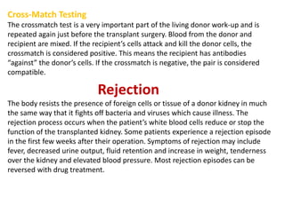 Cross-Match Testing
The crossmatch test is a very important part of the living donor work-up and is
repeated again just before the transplant surgery. Blood from the donor and
recipient are mixed. If the recipient’s cells attack and kill the donor cells, the
crossmatch is considered positive. This means the recipient has antibodies
“against” the donor’s cells. If the crossmatch is negative, the pair is considered
compatible.
Rejection
The body resists the presence of foreign cells or tissue of a donor kidney in much
the same way that it fights off bacteria and viruses which cause illness. The
rejection process occurs when the patient’s white blood cells reduce or stop the
function of the transplanted kidney. Some patients experience a rejection episode
in the first few weeks after their operation. Symptoms of rejection may include
fever, decreased urine output, fluid retention and increase in weight, tenderness
over the kidney and elevated blood pressure. Most rejection episodes can be
reversed with drug treatment.
 