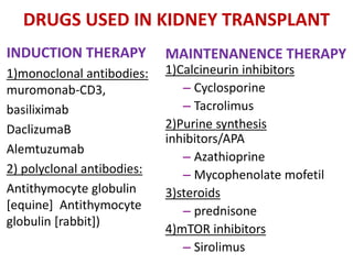 DRUGS USED IN KIDNEY TRANSPLANT
INDUCTION THERAPY
1)monoclonal antibodies:
muromonab-CD3,
basiliximab
DaclizumaB
Alemtuzumab
2) polyclonal antibodies:
Antithymocyte globulin
[equine] Antithymocyte
globulin [rabbit])
MAINTENANENCE THERAPY
1)Calcineurin inhibitors
– Cyclosporine
– Tacrolimus
2)Purine synthesis
inhibitors/APA
– Azathioprine
– Mycophenolate mofetil
3)steroids
– prednisone
4)mTOR inhibitors
– Sirolimus
 
