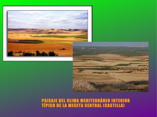 PAISAJE DEL CLIMA MEDITERRÁNEO INTERIOR  TÍPICO DE LA MESETA CENTRAL (CASTILLA) 
