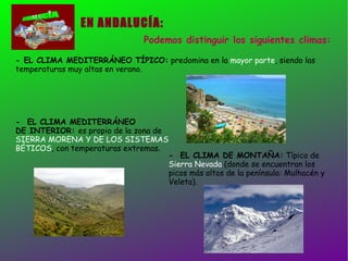 EN ANDALUCÍA: Podemos distinguir los siguientes climas: - EL CLIMA MEDITERRÁNEO TÍPICO:  predomina en la  mayor parte , siendo las temperaturas muy altas en verano. -  EL CLIMA MEDITERRÁNEO  DE INTERIOR:  es propio de la zona de  SIERRA MORENA Y DE LOS SISTEMAS  BÉTICOS , con temperaturas extremas.  -  EL CLIMA DE MONTAÑA:  Típico de  Sierra Nevada  (donde se encuentran los picos más altos de la península: Mulhacén y Veleta). 