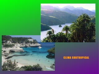 CLIMA SUBTROPICAL 