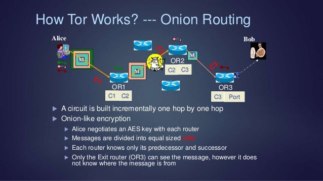 how does tor onion work how does tor onion work