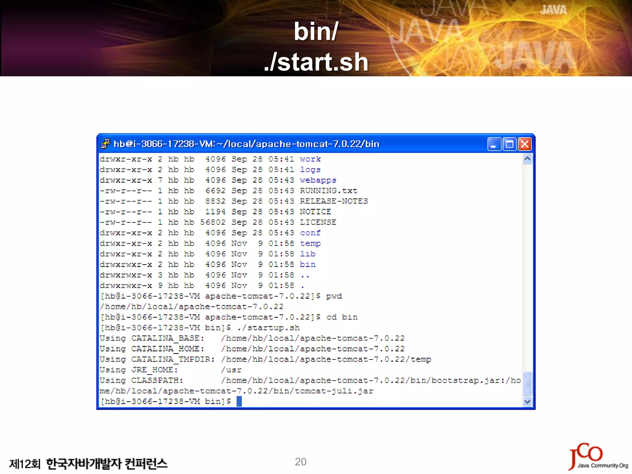 bin/
./start.sh




   20
 