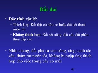 42
Đất đai
• Đặc tính vật lý:
– Thích hợp: Đất thịt có hữu cơ hoặc đất sét thoát
nước tốt
– Không thích hợp: Đất sét nặng, đất cát, đất phèn,
thủy cấp cao
• Nhìn chung, đất phù sa ven sông, tầng canh tác
sâu, thấm rút nước tốt, không bị ngập úng thích
hợp cho việc trồng cây có múi
 