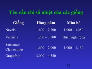52
Yêu cầu chỉ số nhiệt của các giống
Giống Hàng năm Mùa hè
Navels 1.600 – 2.200 1.000 – 1.250
Valencia 1.200 – 3.500 Thích nghi rộng
Satsumas/
Clementines 1.600 – 2.000 1.000 – 1.150
Grapefruit 3.000 – 4.550
 