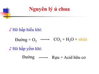 Nguyên lý ủ chua
♪ Hô hấp hiếu khí:
♪ Hô hấp yếm khí:
Đường + O2
CO2 + H2O + nhiệt
Đường Rựu + Acid hữu cơ
 
