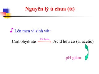 ♪ Lên men vi sinh vật:
Nguyên lý ủ chua (tt)
Carbohydrate Acid hữu cơ (a. acetic)
VK lactic
pH giảm
 