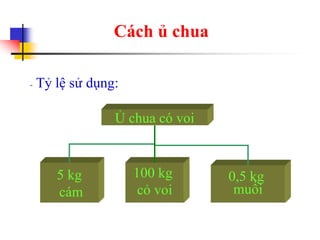 Cách ủ chua
- Tỷ lệ sử dụng:
Ủ chua có voi
5 kg
cám
100 kg
cỏ voi
0,5 kg
muối
 