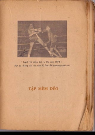 Kỹ thuật võ tự do