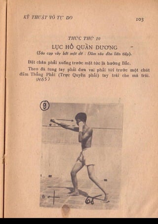 Kỹ thuật võ tự do