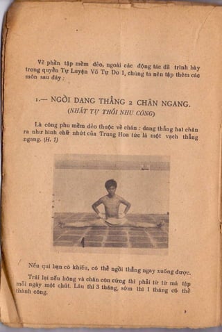 Kỹ thuật võ tự do