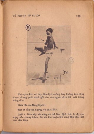 Kỹ thuật võ tự do