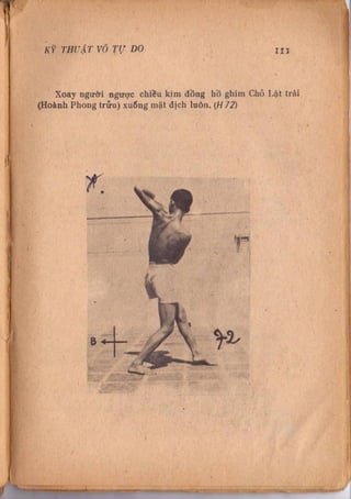 Kỹ thuật võ tự do