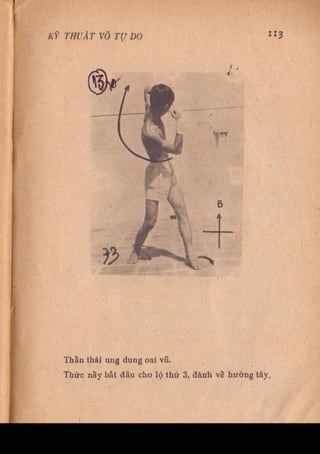 Kỹ thuật võ tự do